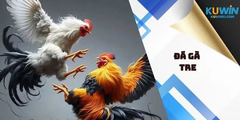 Đá Gà Tre