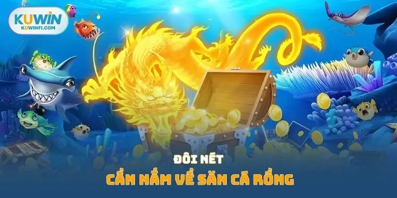 Đôi nét cần nắm về săn cá rồng