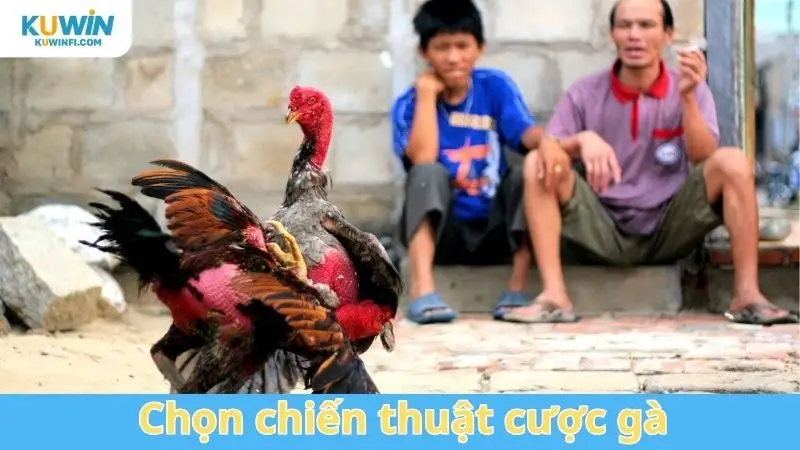 Chọn chiến thuật cược gà