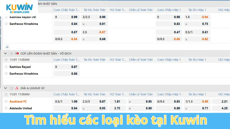 Tìm hiểu các loại kèo tại Kuwin